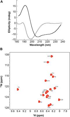 Progressive Phosphorylation Modulates the Self-Association of a Variably Modified Histone H3 Peptide